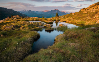 Small stream green hills mountains - a lone tree in the foreground free wallpaper for desktop