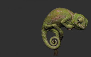 Green chameleon stick closed eyes - zbrush free wallpaper