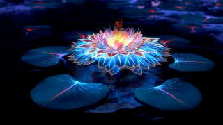 Flower lilypads blue hologram glowing - the dark water free wallpaper