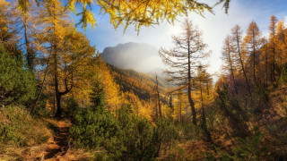 Mountain forest trail autumn nature - autumn free wallpaper for desktop