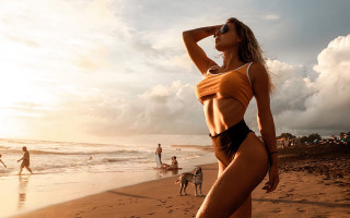 Woman beach ocean dog sunset - plasticien free wallpaper