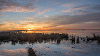 Sunset water grass cityscape clouds - the foreground and a sky free wallpaper