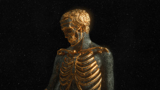 Gold skeleton dark background neoism - a black background behind free wallpaper