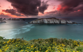 Sunset rocky beach yellow flowers - a large body of water free wallpaper