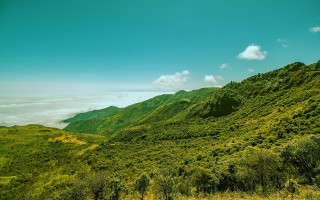 Lush green hillside clouds trees 2 - a lush green hillside free wallpaper