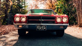 Red car forest sunny anamorphic - a sunny day free wallpaper for desktop