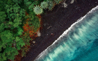 Black sand beach green trees - aerial view free wallpaper for desktop