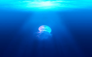 Jellyfish ocean sunlight bubbles rayonism - aquirax uno free wallpaper