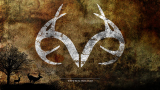 Deer tree grungy background white - a white logo free wallpaper