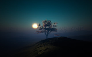 Lone tree hill night moon - volumetric lighting free wallpaper