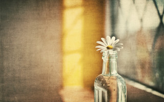 Glass bottle flower table window - a window sill free wallpaper