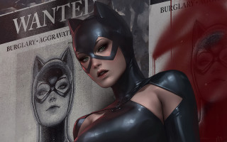 Woman cat suit batman poster - a woman in a cat suit free wallpaper