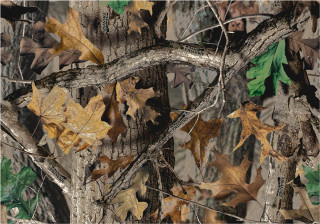 Tree leaves woods camouflage background - a camouflage background free wallpaper