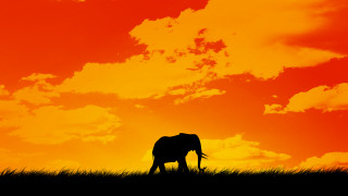 Elephant silhouette sunset clouds orange - amédée ozenfant free wallpaper