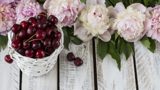 Cherry peony berry floral stilllife - betty merken free wallpaper for desktop