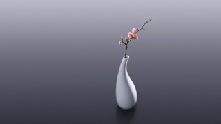 White vase flower minimalism 3d - a white vase free wallpaper for desktop
