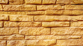 Yellow brick wall cat matte - romanesque free wallpaper