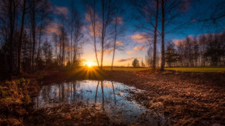 Sunset pond woods trees autumn - area free wallpaper