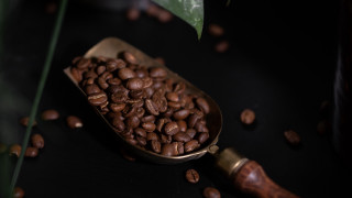 Coffee beans green leaf bottle - product photography free wallpaper