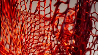 Red vase net abstract fire - carol bove free wallpaper