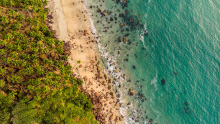 Beach people ocean trees aerial - the shore of the beach free wallpaper