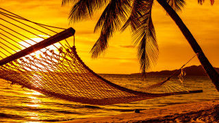Hammock palm beach sunset dusk - a hammock free wallpaper