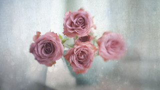 Pink roses vase table window - a table top next free wallpaper
