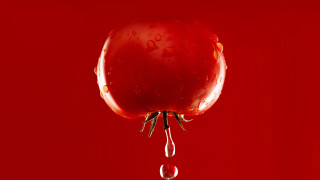 Red apple water drops macro 2 - a drop of water free wallpaper