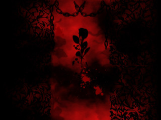 Red rose black background red - chiharu shiota free wallpaper for desktop