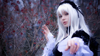 Alice prin white hair gothic - a costume holding free wallpaper