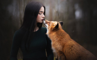 Woman kissing fox woods fog - elsa bleda free wallpaper
