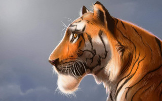 Tiger clouds blue sky furry - anton graff free wallpaper