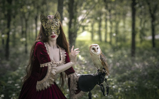 Woman red dress owl forest - elinor proby adams free wallpaper