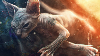Cat tattoo water sunbeam cyberpunk - a sunbeam free wallpaper