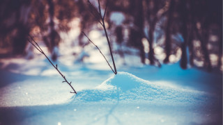 Snowy forest bokeh mountain lake - the middle of a forest free wallpaper