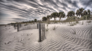 Fence sand dunes palm trees - in the foreground free wallpaper for desktop