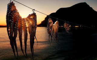 Octopus tentacles sunset mountain surrealist - a line free wallpaper