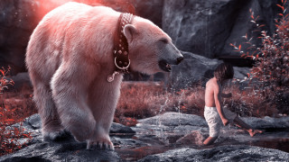 Boy bear stream rocks man - a man in the background free wallpaper for desktop