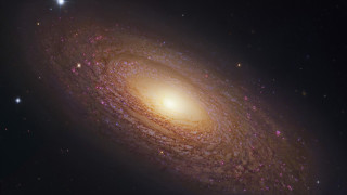 Spiral galaxy stars bright light 2 - david free wallpaper for desktop