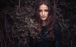 Woman bush leaves portrait flowers - leesha hannigan free wallpaper