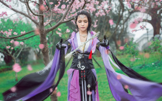 Fan qi cosplay sword cherry - pink flower free wallpaper for desktop