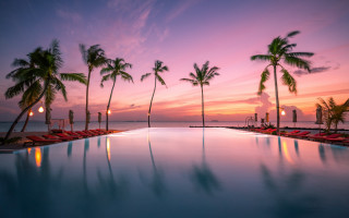 Pool palm trees sunset ocean - rich moody colour free wallpaper