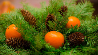 Pine orange cones ornamental folk - a close up of a pine tree free wallpaper