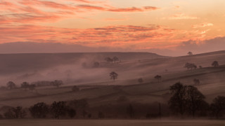 Foggy horizon sunset trees mountains - mist free wallpaper for desktop