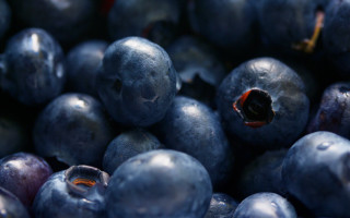 Blueberries bite unripe macro blurry - a bite free wallpaper