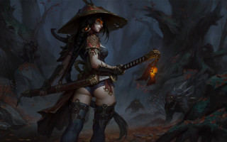 Woman sword forest lantern fantasy - a lantern free wallpaper