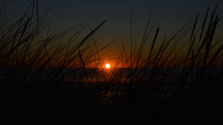 Sunset ocean tallgrass darksky moon - a dark sky in the background free wallpaper