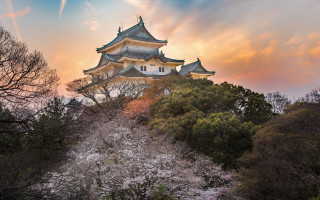Tall building tower trees flowers - japan eishōsai chōki free wallpaper for desktop