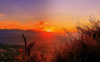 Sunset mountain clouds flowers forest - a few flower free wallpaper