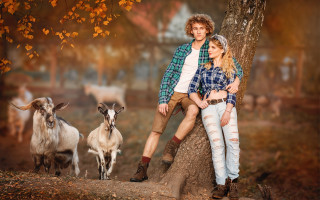 Man woman tree goats autumn - the background and a man free wallpaper